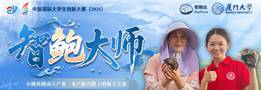 智鲍大师